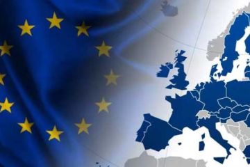 Эти загадочные общеевропейские ценности. Сергей Васильев