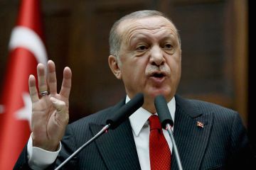 Похищение Европы: Эрдоган начинает и выигрывает