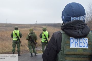 Депутат ДНР Бердичевский: Украина не останется в своих действующих границах