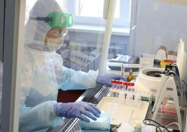 «Коронавирус взрастили в Украине при поддержке американского правительства»: Украинские вирусологи требуют расследования