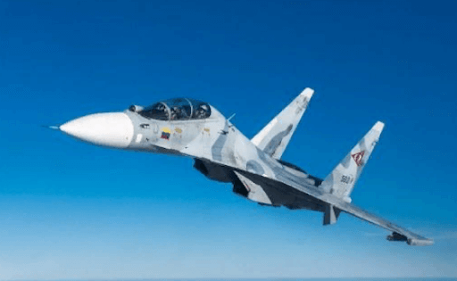 Истребитель Су-30 разобрался в небе сразу с двумя самолетами ВВС США