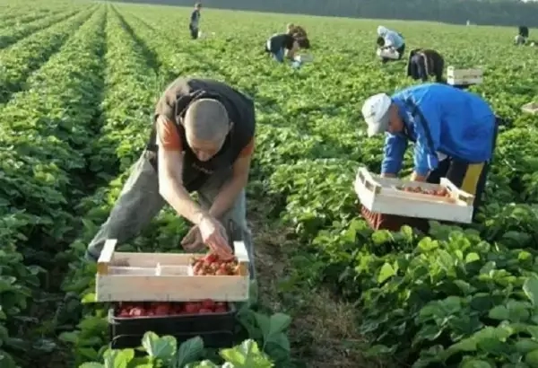 Конец европейской мечты Украины – святого безвиза