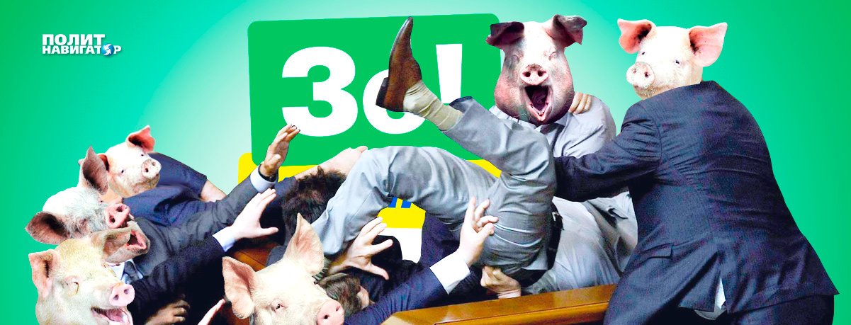 Собачья свадьба: Одесский губернатор «покусал» журналистов