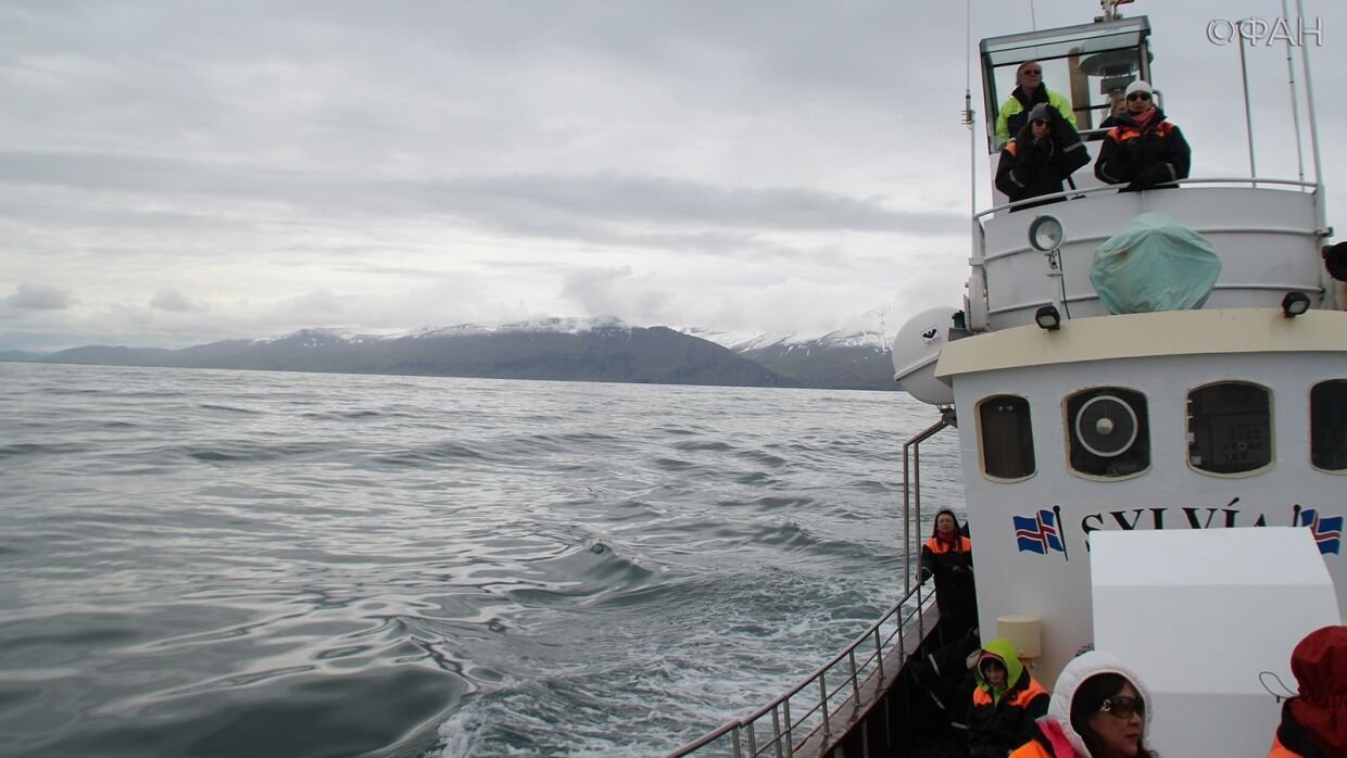 Экологическая угроза для Исландии: НАТО лоббирует создание военного порта