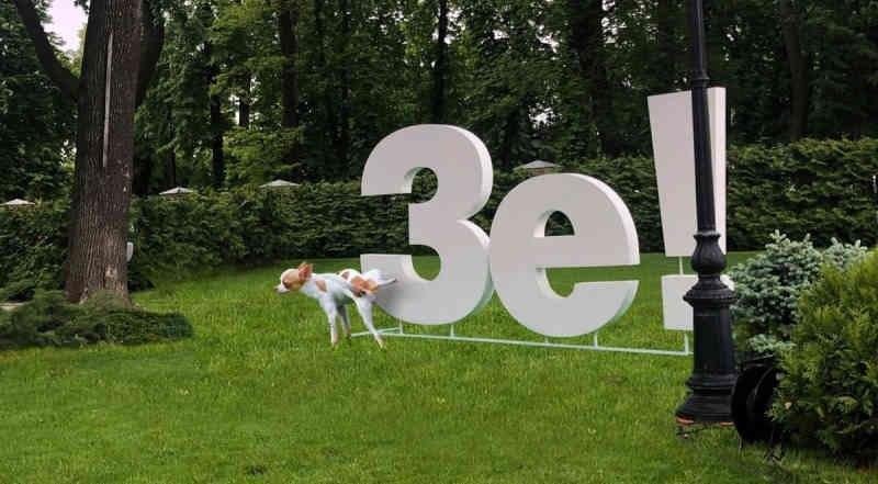 Зеленский публично попросился в туалет: Президенты так не поступают