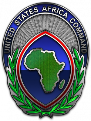 Смотришь на МиГ – видишь фигу: как американцы попытались подставить Россию в Ливии через фейковые фотки