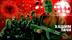 Хашим Тачи: как албанский бандит и торговец органами стал лидером Косово