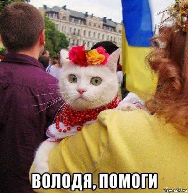 Тест на свидомого патриота