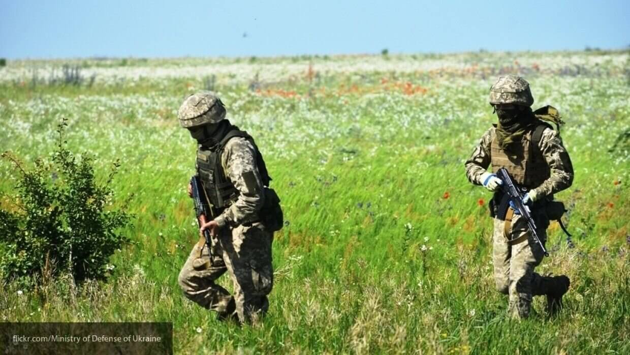 Украина собирается осенью устроить масштабные военные учения по эстонской модели