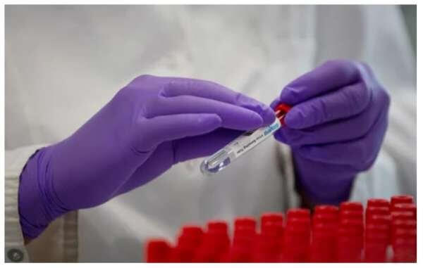 «Это ящик Пандоры»: зарубежные фармкомпании призвали Россию отложить регистрацию вакцины