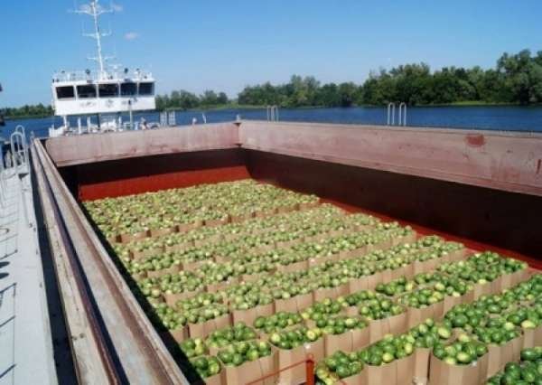 Как Шмыгаль жителям Херсонщины в душу плюнул: «Сами ешьте ваши нитраты»