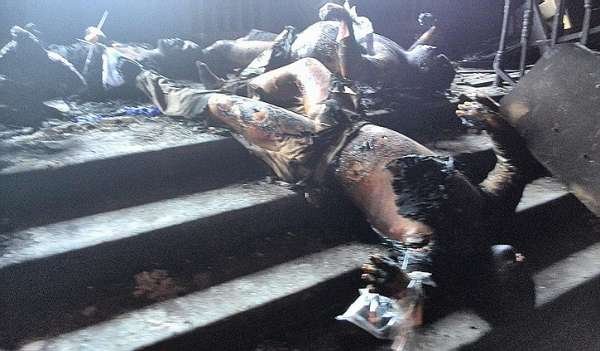 Убийства, пытки, похищения – экс-офицер СБУ признал, как подавили Русскую весну