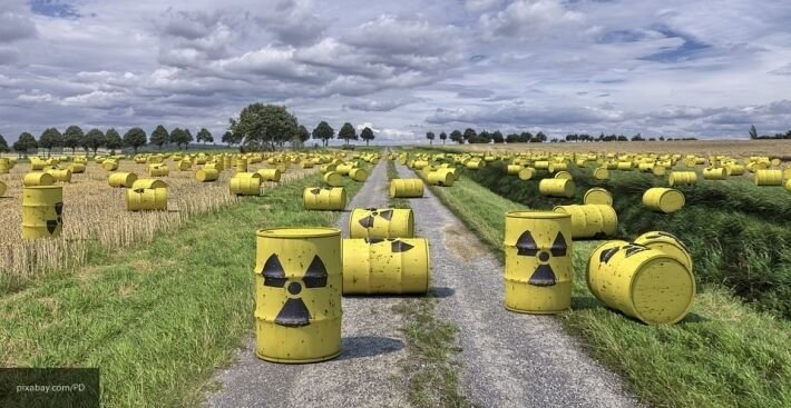 Вывезут лес, завезут радиацию: Евросоюз использует Херсонщину как могильник