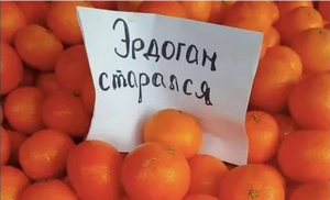 Россия завернула турецкие мандарины после разъяснения Лаврова