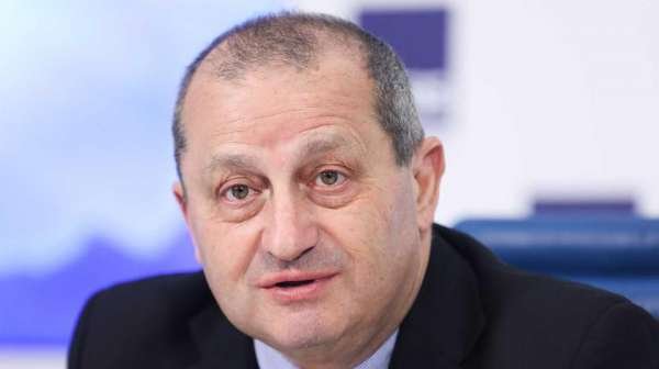 Кедми: немцы в ужасе от того, что сделают турки в самой Германии