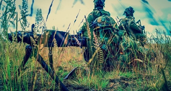 Литва скрывает статистику заражения ковидом в армии