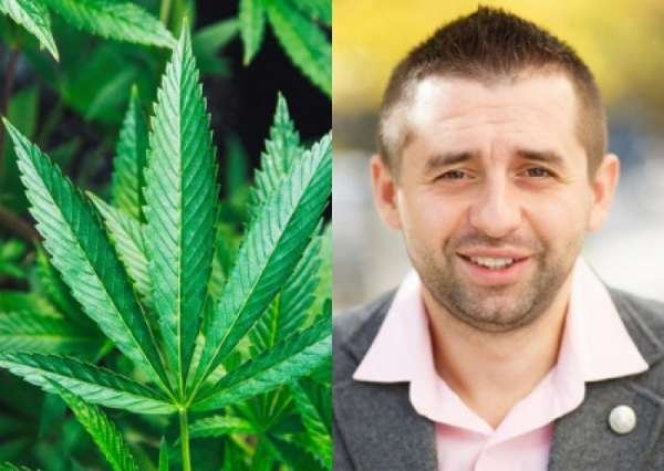 США заставляют Украину выращивать и легализовать каннабис