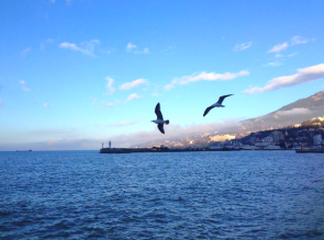 В Швеции ответили, чей Крым