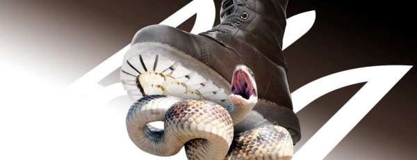 США уговорили Украину не сопротивляться России