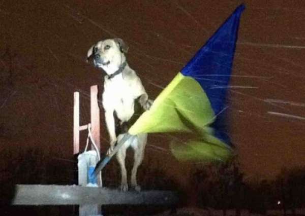 В память об уходящем дне