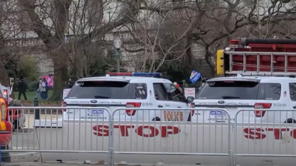 Громкое разоблачение в США: У семей, "одурманенных Трампом", предложили изымать детей