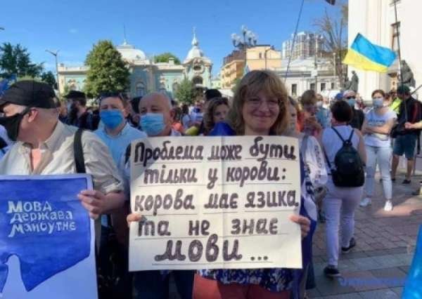 В бой идут одни стукачи…