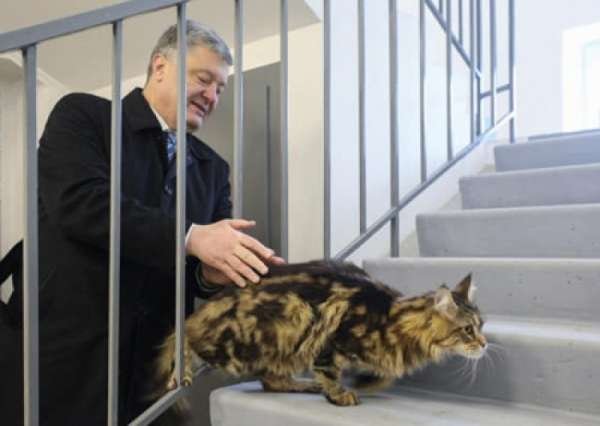 За лизоблюдство Порошенко в американских кругах называют «домашним животным»