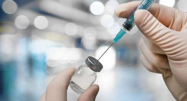 Свидомые кролики на операционном столе