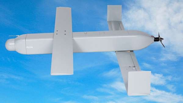 На Украине разработали «смертельно опасный» дрон-камикадзе