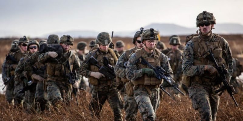 «Пусть НАТО меня непременно спасет»: в Литве очередной план милитаризации