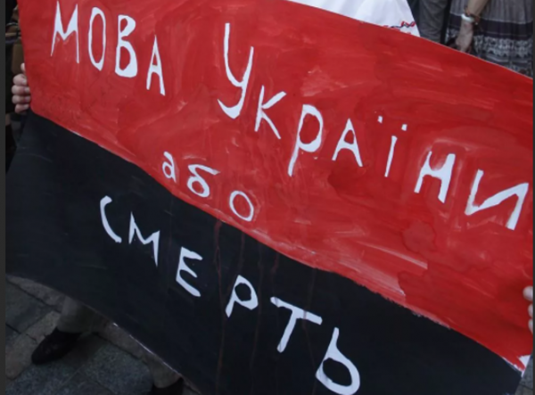 «Не дай Бог жить здесь» – иностранный студент об Украине