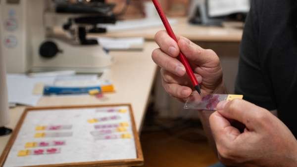 План США просчитал создатель "Новичка": "Не зря у славянских народов берут пробы генетики…"