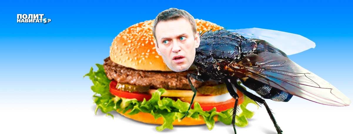 Германия отделила мух Навального от котлет экономического сотрудничества с РФ