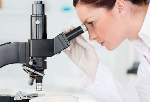 «Утекшие мозги» возвращаются в Россию: стало известно откуда