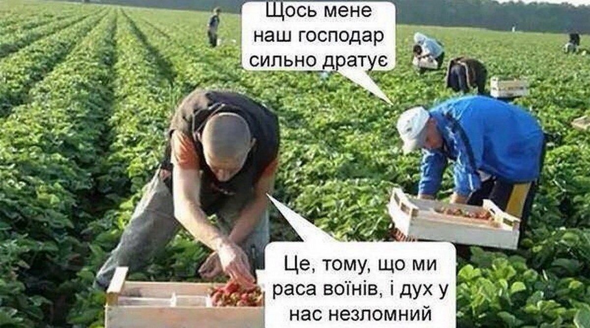 Европа – украинцам: Ваше место – на плантациях