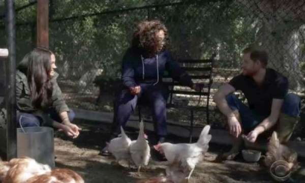 Грандиозный скандал: Британскую королевскую семью обвинили в доведении до самоубийства