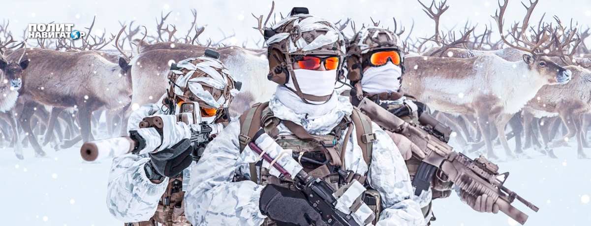 «Сформированы северные ударные бригады». НАТО готовится к битве за Арктику