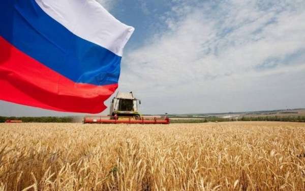 Европейские эксперты удивились успехам России в сфере сельскохозяйства