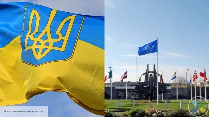 Найдет ли Украина инвестора для модернизации ВСУ, чтобы вступить в НАТО