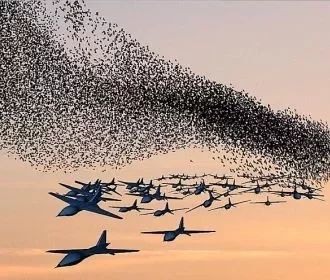 Беспилотный орган