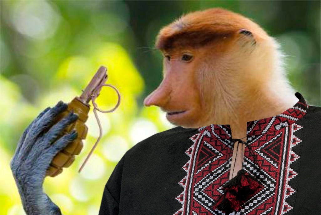 Боевик АТО объяснил, почему Украина не получит от НАТО высокоточного оружия