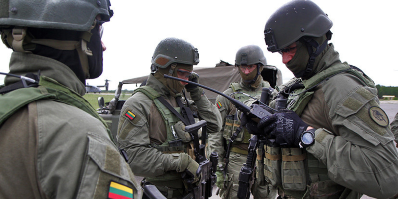 Националисты Литвы займутся патриотическим воспитанием школьников