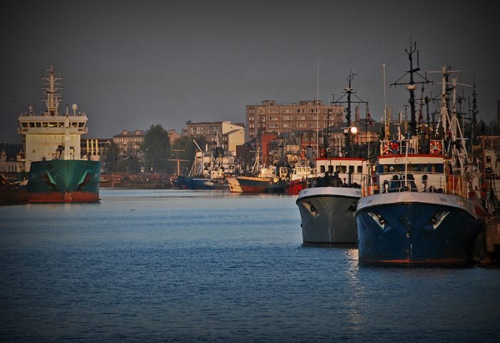 ЕС отбирает у Латвии «последние шпроты» из-за опустения Балтийского моря