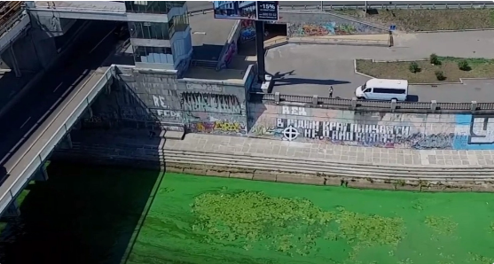 Украинцы рассказали, как река Днепр превращается в болото