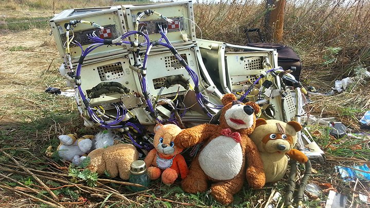 Загадка МН17: Они видели, как сбили "Боинг", их не увидит никто