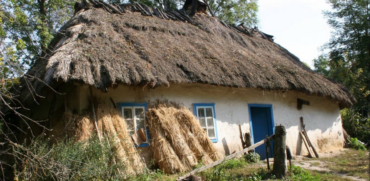 Украинский безгаз: «Аграрной сверхдержаве» предлагают перейти на солому