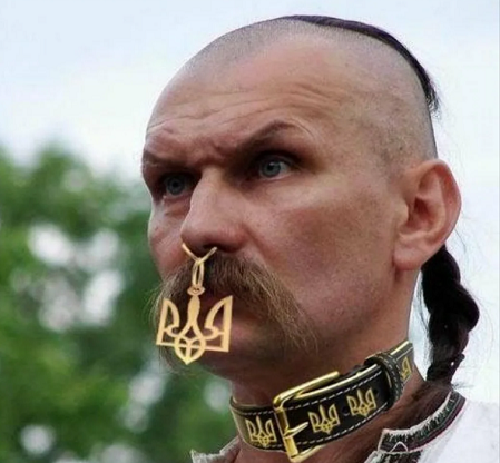 Украинское пособие «на случай войны с Россией»