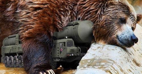 НАТО может лишь «трусливо подергать медведя за усы и драпануть от него» – военный эксперт