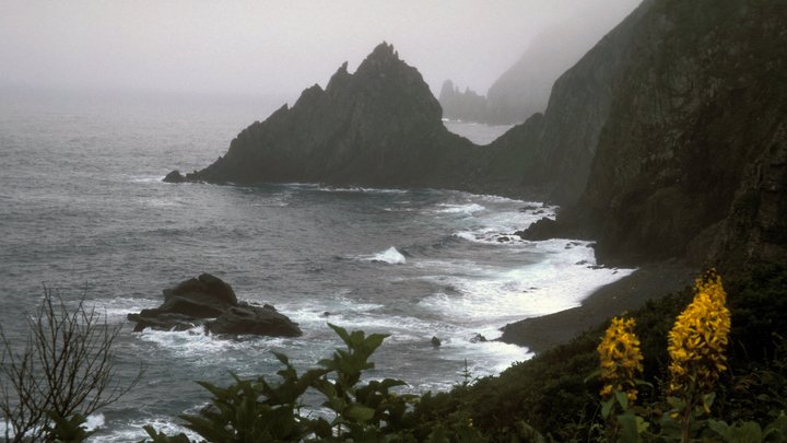 Русские военные взяли на контроль французский корабль-разведчик