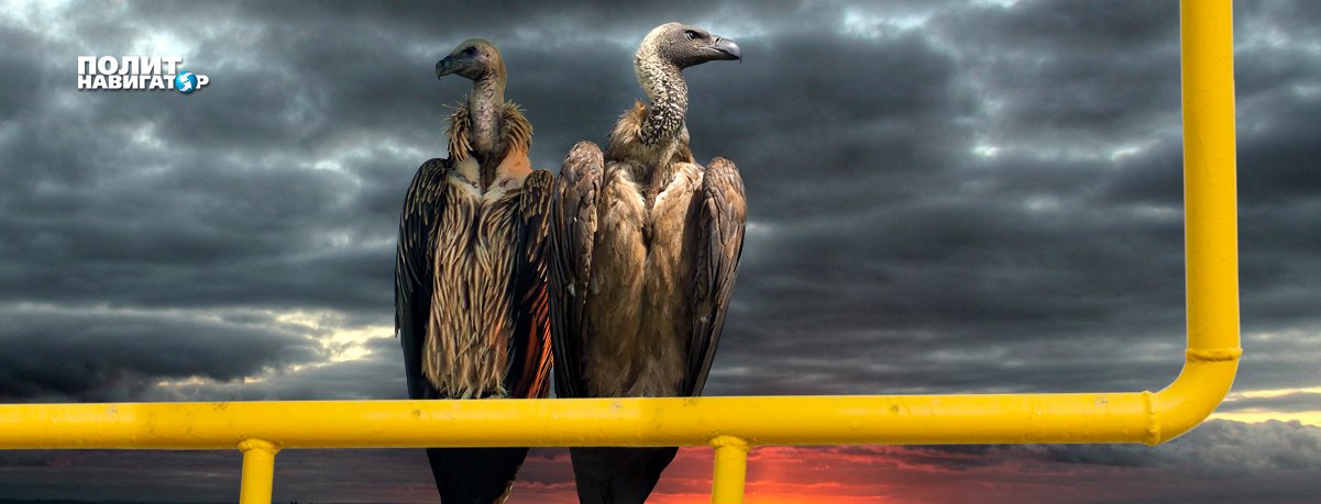 Меркель и Байден заключили секретное антироссийское соглашение